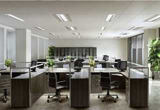 沈阳电动车共享童车加盟费用多少